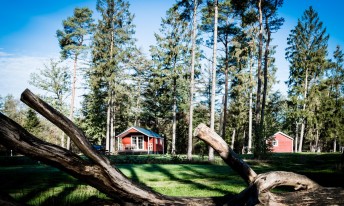 Gallery image mobile 3