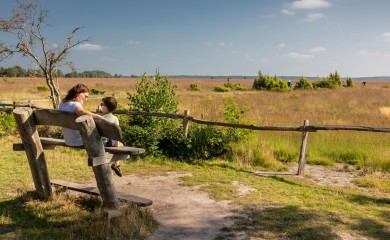 img-7