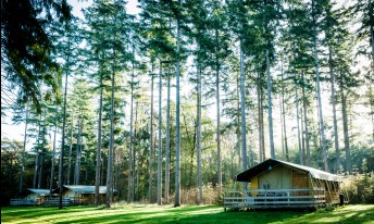 Gallery image mobile 3