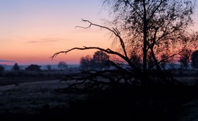 img-2