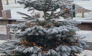 img-4