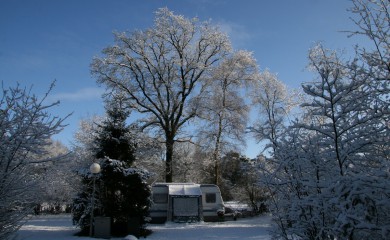 img-6
