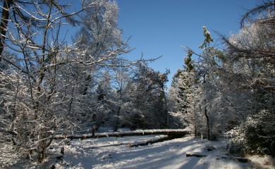 img-11