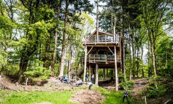 Gallery image mobile 3