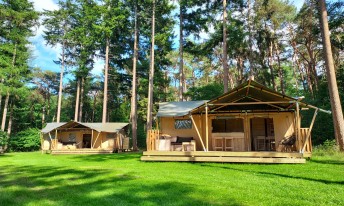 Gallery image mobile 3