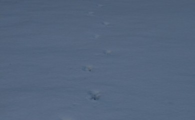 img-14