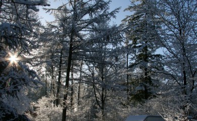 img-12