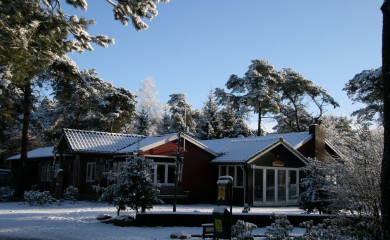 img-3