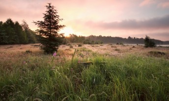 Gallery image mobile 3